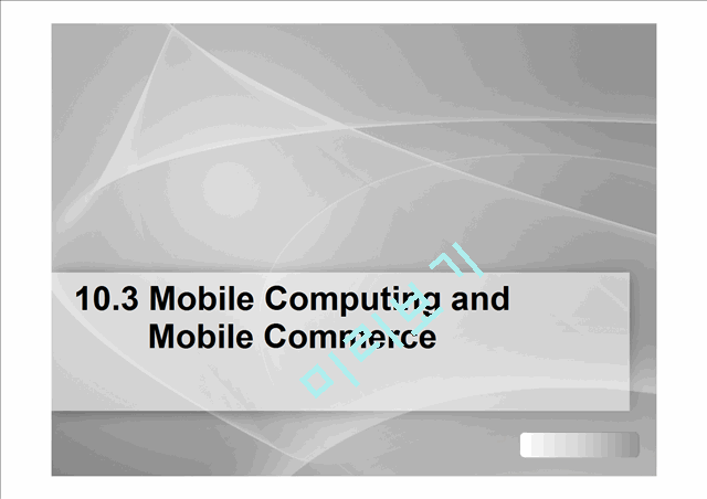 10.3 Mobile Computing and Mobile Commerce   (1 )
